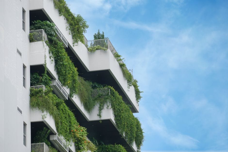 Sichtschutz für den Balkon: Ungestört im Grünen entspannen