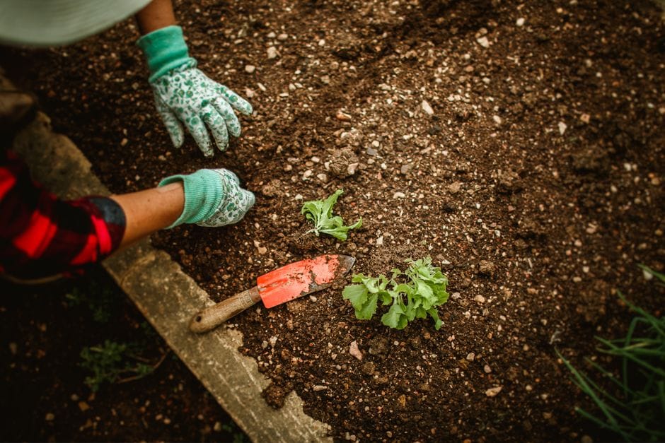 Gartenbeet im Frühling vorbereiten: Der Startschuss für die Saison