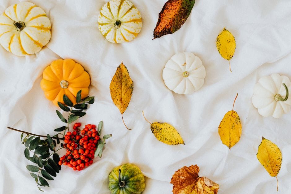 Herbstdeko mit Naturmaterialien: So holen Sie den Wald nach Hause