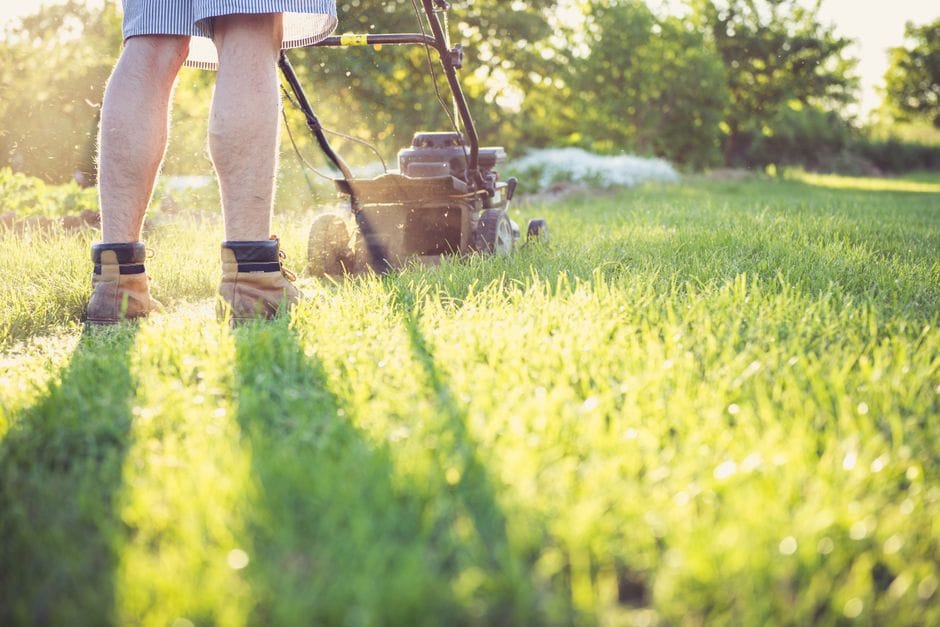 Rasen pflegen im Frühjahr: In vier Schritten zum dichten Grün
