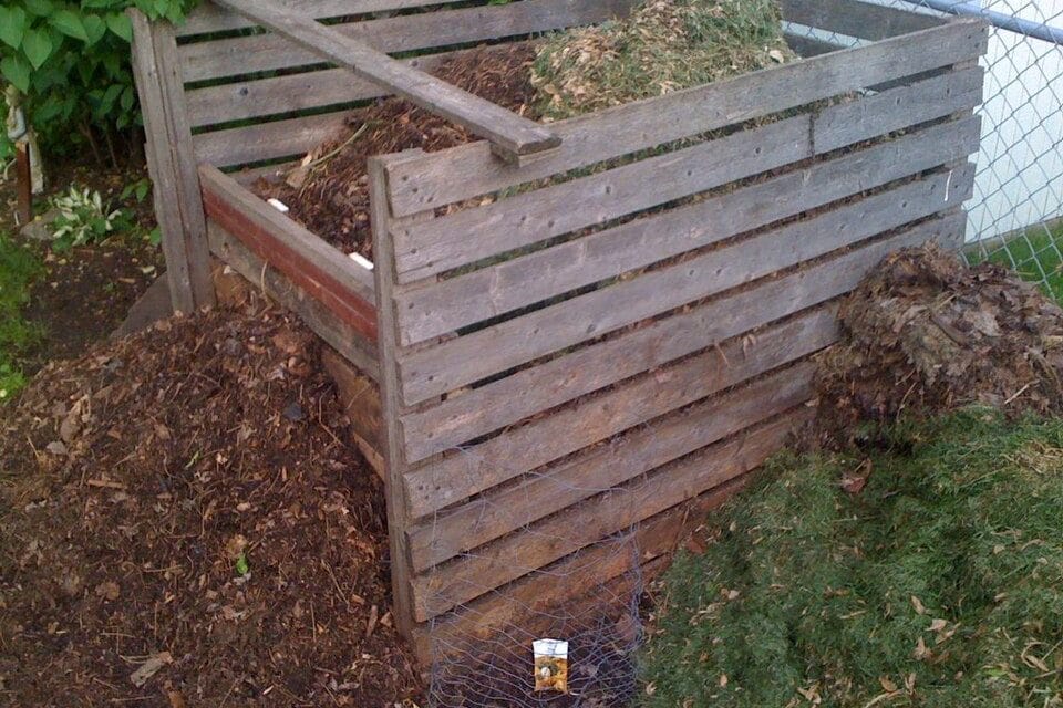 Kompost anlegen: Wie aus Küchen- und Gartenabfällen wertvoller Humus wird