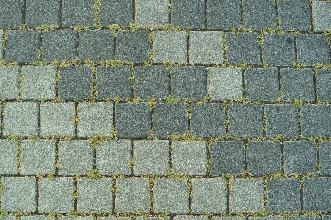 Unkraut ökologisch bekämpfen: Was im Hochsommer wirklich hilft