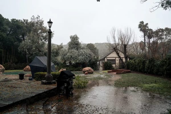 Sommergewitter im Garten: In fünf Minuten Möbel, Markise und Pflanzen retten